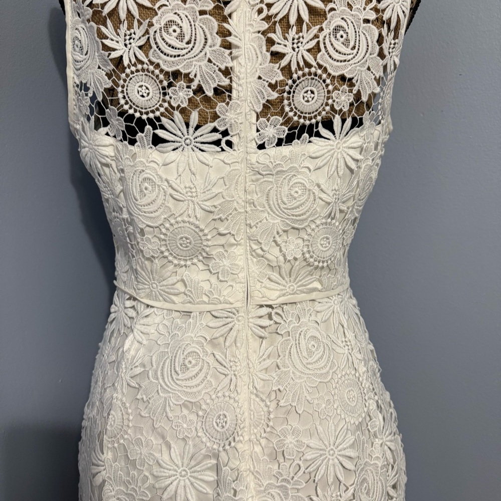 WHBM Floral Lace Dress - Picture 7 of 16